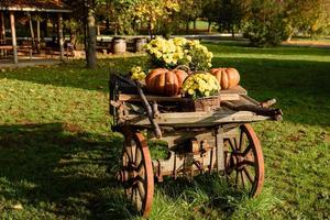 Holzkarren mit Herbstfrüchten. Herbsterntefest - alter Wagen mit Kürbissen. foto