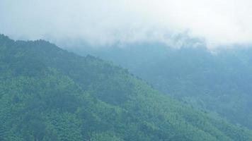 die schönen berglandschaften mit dem grünen wald und dem kleinen dorf als hintergrund in der landschaft des china foto