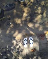 Selfie-Sandalen nass mit Meerwasser mit Strandsand-Hintergrund foto