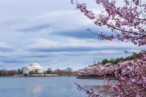 Thomas Jefferson Memorial während des Kirschblütenfestes im Gezeitenbecken, Washington, D.C., USA foto