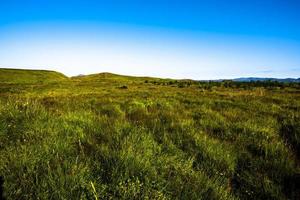 2021 08 15 myvatn grasbewachsene flächen foto