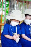 Süßes Mädchen mit weißer Gesichtsmaske versucht, das Küken sanft zu halten. Kinder lernen und erleben das Farmleben. foto