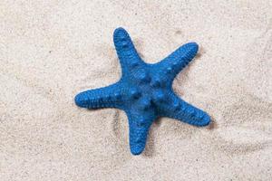 blauer Seestern auf dem Sand Nahaufnahme Draufsicht. Seestern am Strand. Strandsommerhintergrund mit Sand, Meer und Exemplar foto