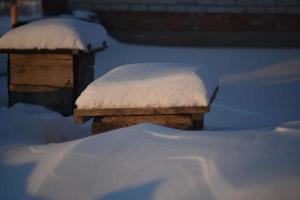 Holzkisten für Blumen unter dem Schnee im Winter foto