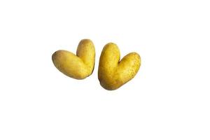zwei rohe Kartoffeln in Herzform auf weißem Hintergrund. isolieren. Lebensstil. foto