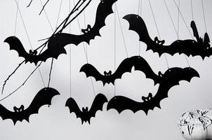 Halloween mit schwarzen Fledermäusen und einem Kürbis auf weißem Hintergrund foto