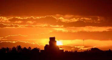 Prärie Sommer Sonnenuntergang foto