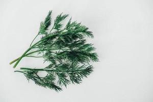 frischer grüner Dill auf weißem Hintergrund aus Holz. Ansicht von oben. kopieren, leerer Platz für Text foto