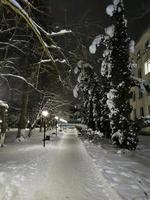 Winterpark bei Nacht Bäume in der Schneeallee mit Laternen foto