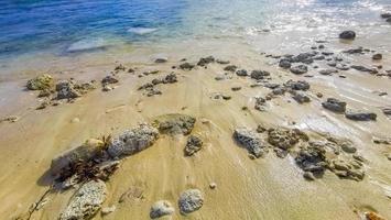 tropischer mexikanischer Strand klares Wasser Felsbrocken Playa del Carmen Mexiko.