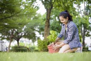 Frau pflanzt den Baum im Garten foto