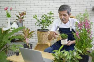 Senior-Unternehmer, der mit Laptop arbeitet, präsentiert Zimmerpflanzen während des Online-Live-Streams zu Hause und verkauft Online-Konzepte foto