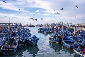 Seevögel, die über hölzerne blaue Fischerboote schweben, die am Jachthafen verankert sind foto