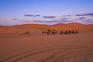 Kamelkarawane mit Touristen, die in der Wüste durch den Sand gehen