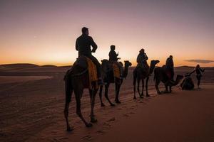 Kamelkarawane mit Touristen, die in der Wüste durch den Sand gehen