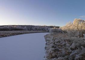 Winterfrost Saskatchewan foto