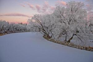 Winterfrost Saskatchewan foto