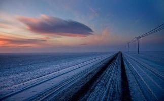Winterfrost Saskatchewan foto