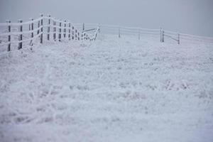 Winterfrost Saskatchewan foto