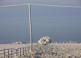 Winterfrost Saskatchewan foto