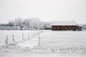 Winterfrost Saskatchewan foto