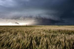 Präriegewitterwolken Kanada foto