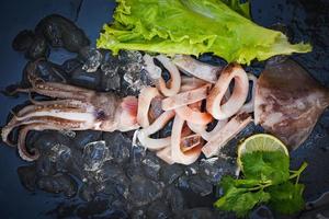 Tintenfischringe auf Eis, frischer roher Tintenfisch mit Kopfsalatgemüsesalat Meeresfrüchtekorianderzitrone auf schwarzem Plattenhintergrund foto