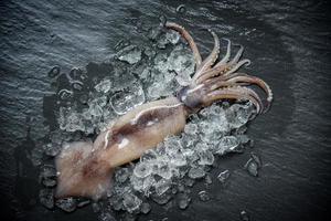 Meeresfrüchte Tintenfisch auf Eis frischer Oktopus Ozean Gourmet roher Tintenfisch mit dunklem Eishintergrund im Restaurant foto