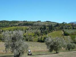 felder der abtei sant antimo in montalcino foto