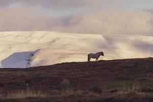 Arskogssandur Nordisland foto