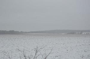 Panorama eines landwirtschaftlichen Feldes, das im Winter mit Schnee bedeckt ist foto