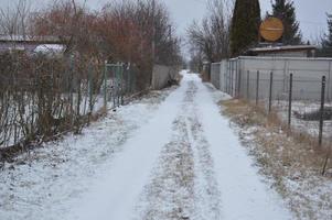 gefrorene waldstraße mit eis und schnee foto