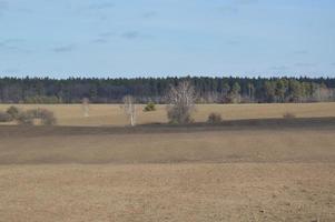 Panorama des landwirtschaftlichen Feldes im Winter foto