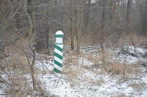 verschneiten Wald in einem Schneesturm Schnee fällt foto