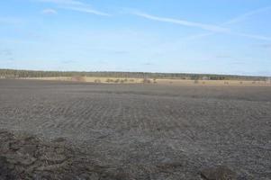 Panorama des landwirtschaftlichen Feldes im Winter foto