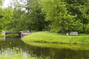 Bank im Sommerpark in der Nähe des Flusses. foto