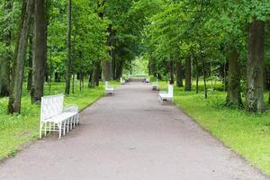 Sommerpark mit weißen Bänken und Fußwegen. foto