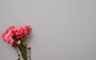 rosa Blüten isoliert. postkarte mit kopienraum und vorlagenhintergrund. Ansicht von oben. muttertag und valentinsgrußkonzept. blumenlieferung und online-bestellung luxus-bouquet-konzept. Sommersaison. Banner foto