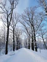 Catherine Park in Puschkin an einem Wintertag foto