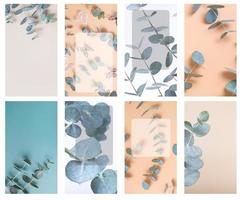 Eukalyptusblätter mit Kopierbereich auf 8 Vorlagen für Geschichten. abstrakte florale Telefonhintergründe foto