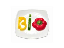 Bio-Lebensmittelplatte foto