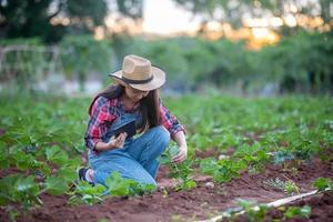 asiatische agronomin und bäuerin, die technologie zur inspektion im landwirtschaftlichen und biologischen gemüsebereich einsetzt foto