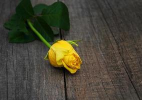 gelbe Rose auf einem Tisch foto