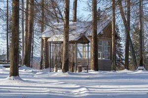 Holzpavillon im Wald an einem sonnigen Wintertag. foto