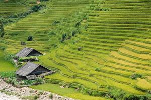 schöne ländliche Umgebung in der Nähe von Sapa. Reisterrassen und zwei Häuser. keine Leute. Vietnam foto