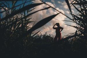 Silhouette einer schönen Frau in einem Strohhut in roter Kleidung auf einem Hintergrund aus Schilf und bewölktem Himmel foto