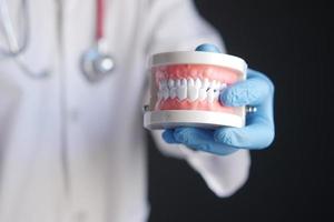 Arzthand, die ein Zahnmodell aus Kunststoff auf dem Tisch hält foto