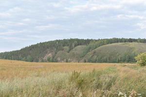 Fluss und Berg mit Bäumen im Steppenfeld foto