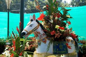 Pferd mit Blumenstrauß beladen foto