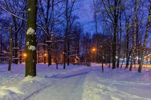 festlicher silvesterspaziergang im park am abend foto